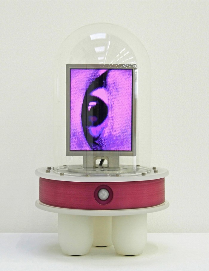 Alan Rath Looking Glass II, 2007 Nylon, polypropylene, glass, aluminum, G10, custom electronics, LCD 19 × 11 × 11 in 48.3 × 27.9 ×27.9 cm