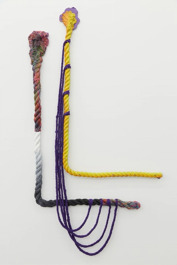 Katy Cowan.(double with purple [droop]) Position,2019 Oil and enamel paint on cast aluminum,braided ropes70 x 39 x 3 in177.8 x 99.1 x7.6 cm