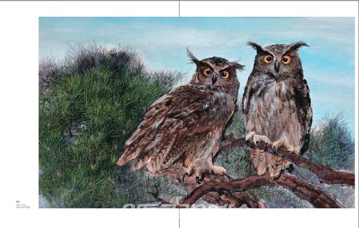 천의 얼굴, 부엉이에 빠진 작가 민병구