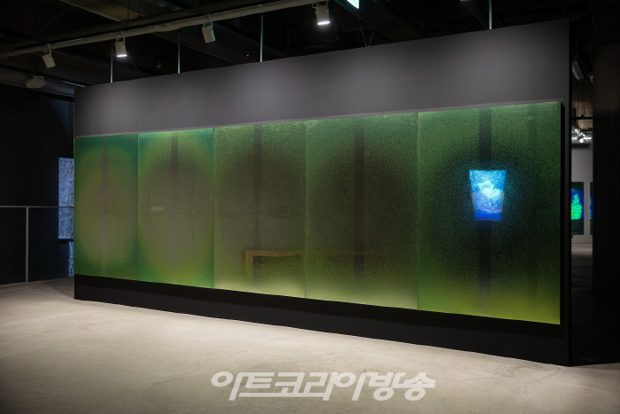 뿌리들의 일어섬(The Rising of Roots) 아크릴 거울에 C-print, 120x80cm (5pcs.), 2021