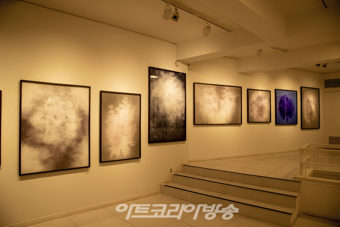 유수호 개인전 ‘Middle Space, My Princess Chrystie’