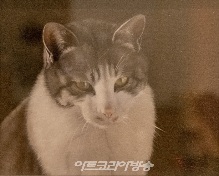 동물사랑 이종서 작가 개인전-야롱이