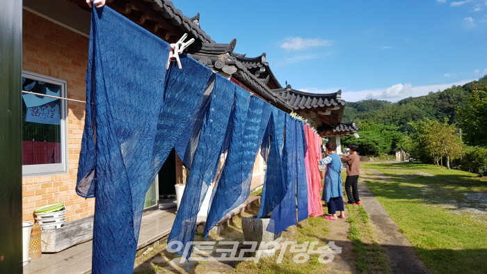 자연염색 김지희 명인