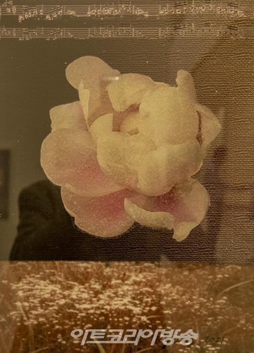 김경자의  신작 '매혹적인 이미지-자연의 리듬'