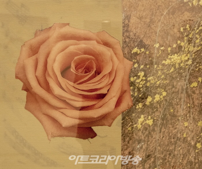 김경자의  신작 '매혹적인 이미지-자연의 리듬'