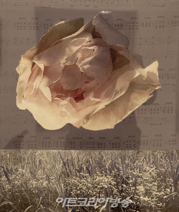 김경자의  신작 '매혹적인 이미지-자연의 리듬'