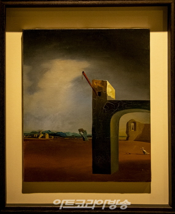 형태학의 메아리