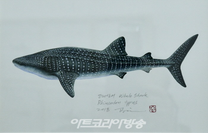 조광현 세밀화전 '한국의 물고기'