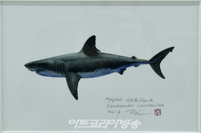 조광현 세밀화전 '한국의 물고기'