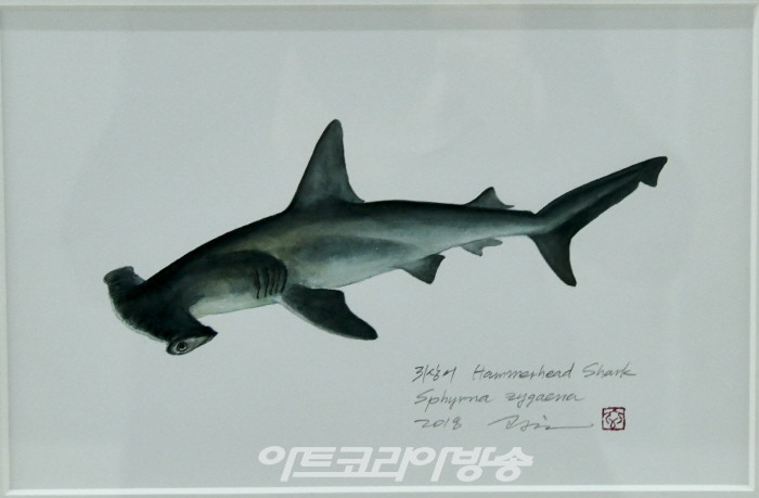 조광현 세밀화전 '한국의 물고기'