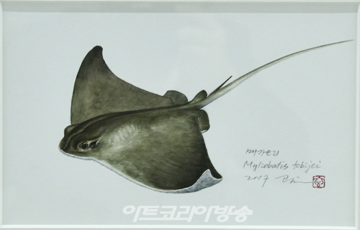 조광현 세밀화전 '한국의 물고기'