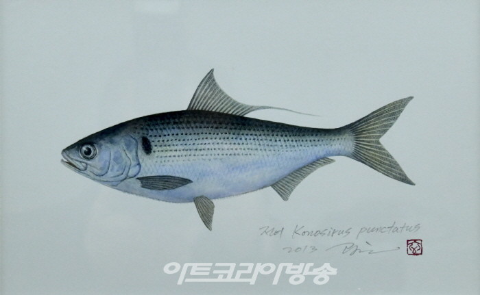 조광현 세밀화전 '한국의 물고기'