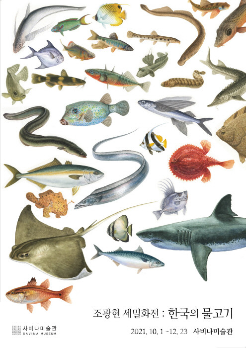 조광현 세밀화전 '한국의 물고기'