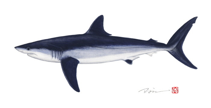 조광현 세밀화전 '한국의 물고기'