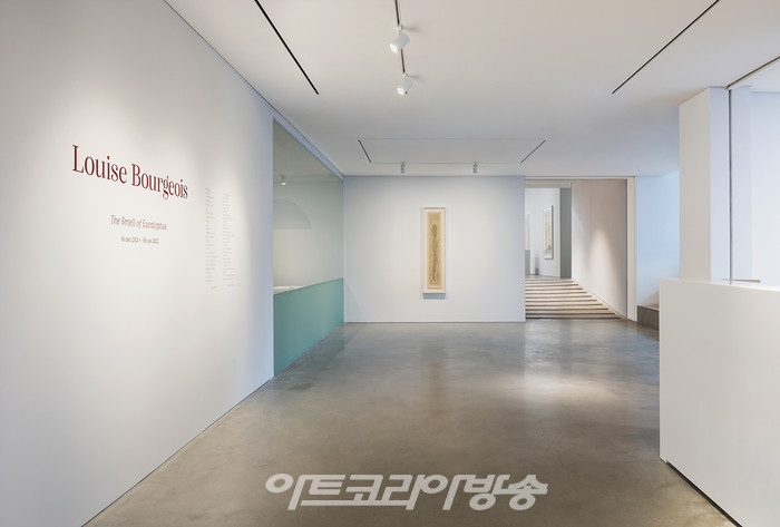 국제갤러리 1관(K1) 루이스 부르주아 개인전 《유칼립투스의 향기 The Smell of Eucalyptus》 설치전경이미지 제공: 국제갤러리