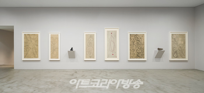 국제갤러리 1관(K1) 루이스 부르주아 개인전 《유칼립투스의 향기 The Smell of Eucalyptus》 설치전경이미지 제공: 국제갤러리