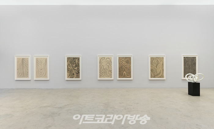 국제갤러리 3관(K3) 루이스 부르주아 개인전 《유칼립투스의 향기 The Smell of Eucalyptus》 설치전경이미지 제공: 국제갤러리