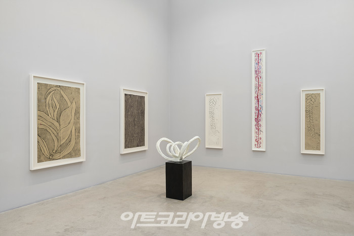 국제갤러리 3관(K3) 루이스 부르주아 개인전 《유칼립투스의 향기 The Smell of Eucalyptus》 설치전경이미지 제공: 국제갤러리