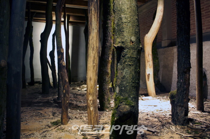 뉴욕 설치미술가 조숙진 작가