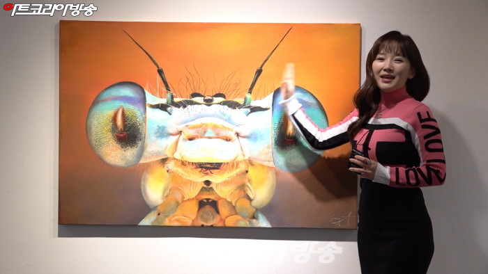 윤송아 작가의 눈시리즈 '잠자리의 눈'