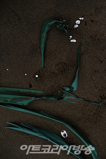 사이_between  이지혜. 최미향. 오혜련 사진전