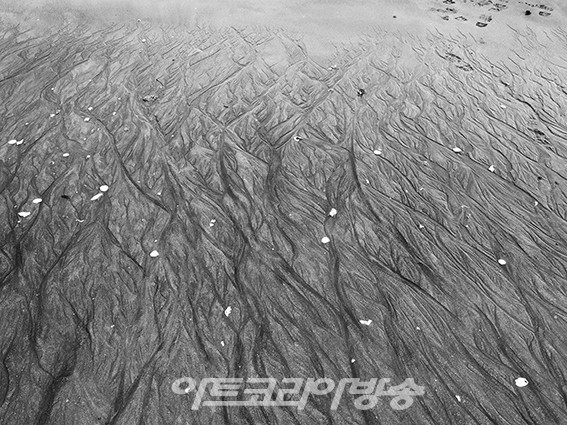 사이_between  이지혜. 최미향. 오혜련 사진전