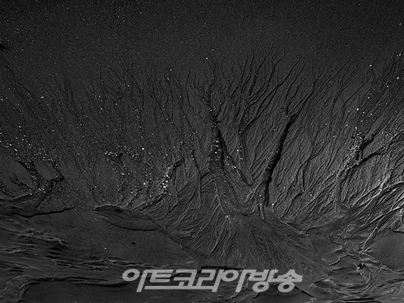 사이_between  이지혜. 최미향. 오혜련 사진전