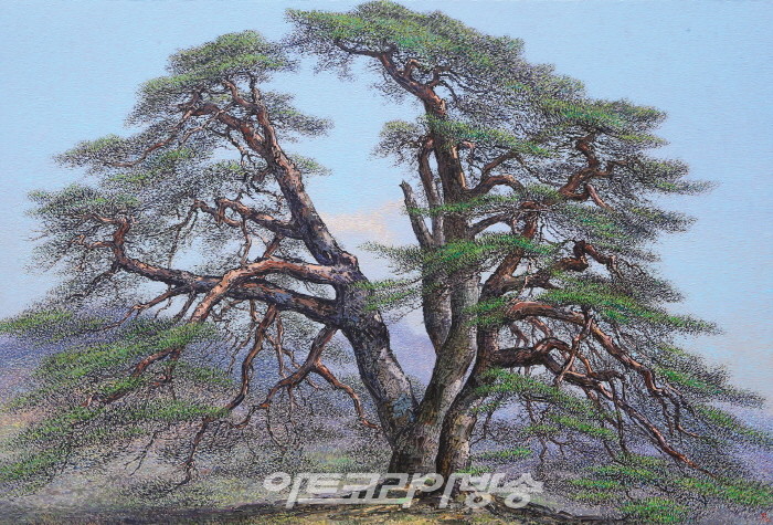 한국의 소나무 작가 김상원 개인전