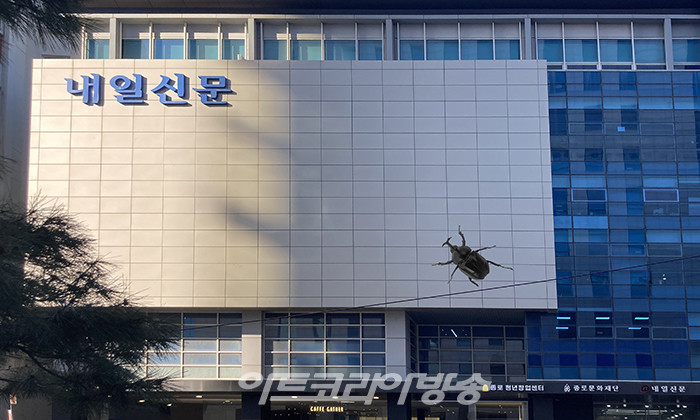 유벅 개인전 'Invisible nature'