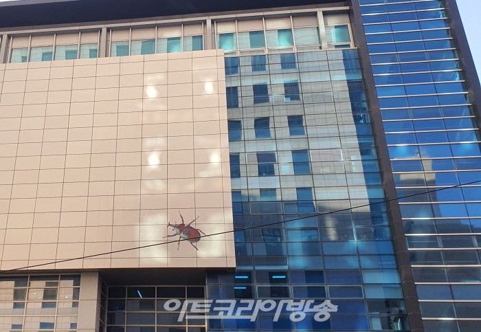 유벅 개인전 'Invisible nature'