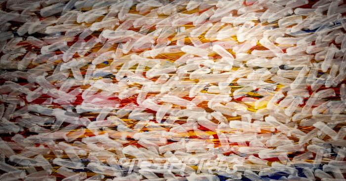 형진식 기획초대전