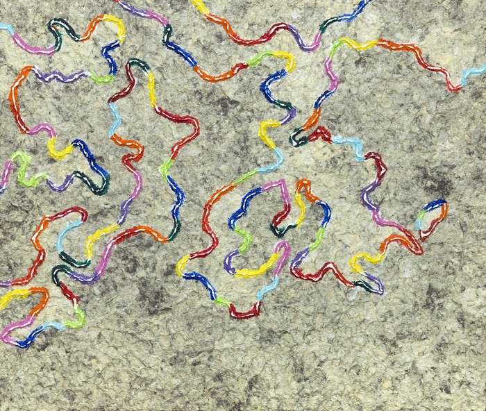 황경숙. 생명(Life)_명줄(Life_line)3 53.0x45.5cm mixed media 2022 A9992671-향상됨