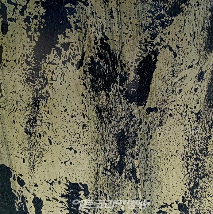 장사익 사진전 '장사익의 눈'