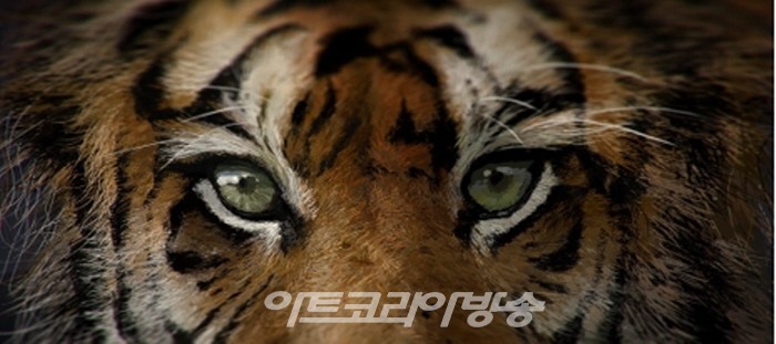 김남표 디지털 아트