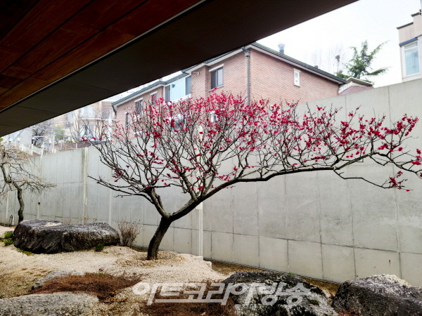 제66회 김달진미술사이야기 '사회 환원에 앞장서고 있는 박서보 화백'