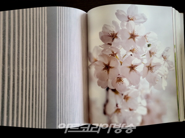 제66회 김달진미술사이야기 '사회 환원에 앞장서고 있는 박서보 화백'