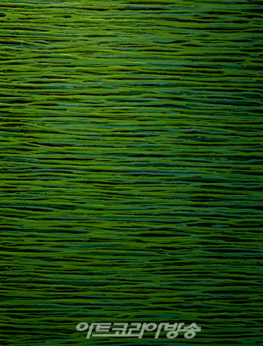 얼룩에서 절개로의 변신, 타시스트 권기자