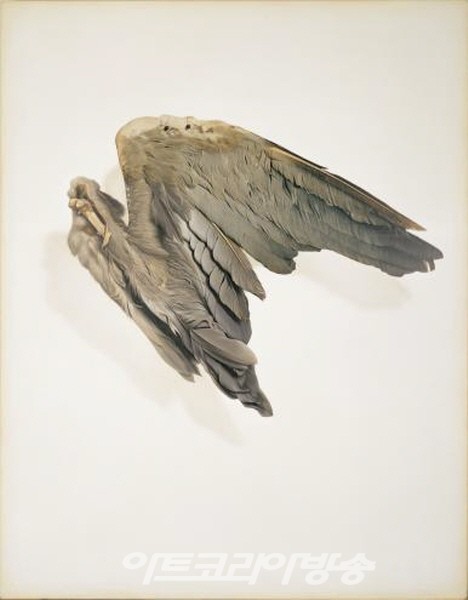 고영훈새, Bird 1998, Acrylic on plaster, paper, 230×180cm