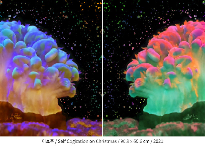 이효주 작 Self Cogitation on Christmas