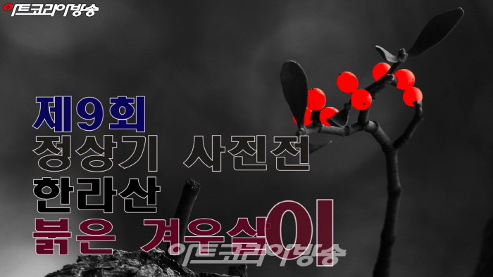 제9회 정상기 사진전 '한라산 붉은 겨우살이'