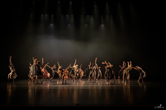 System on Public Eye_ⓒHanfilm.jpg 제공 (사)한국현대무용협회