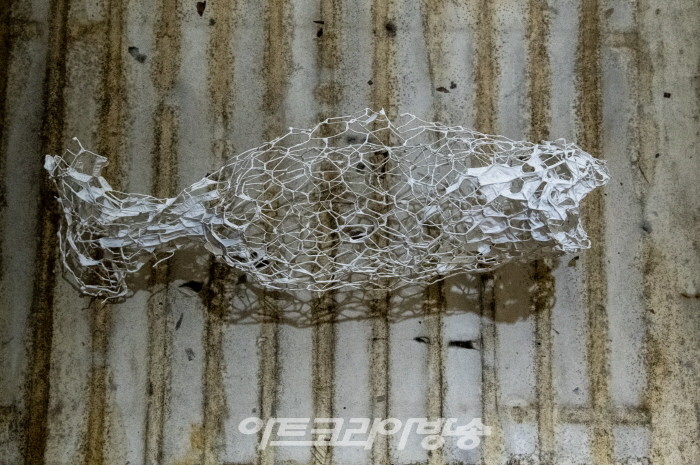 김은진의 예술명상 '안재복 조각가 물고기전, 어디로 가는가'