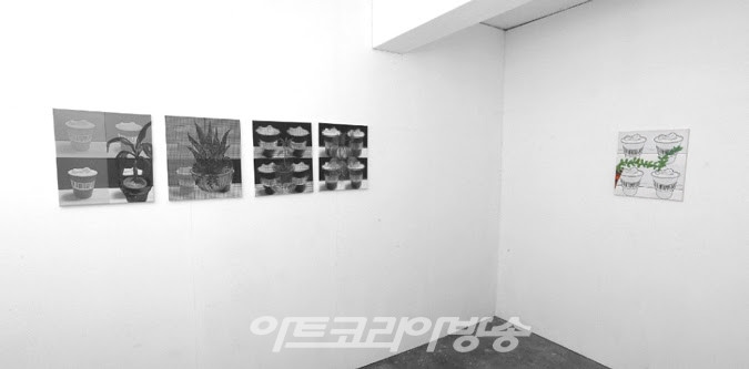 소정희, Installation View