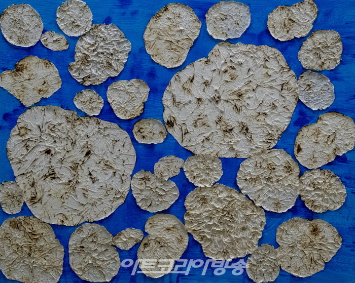 설미재미술관 주경 작가 인터뷰