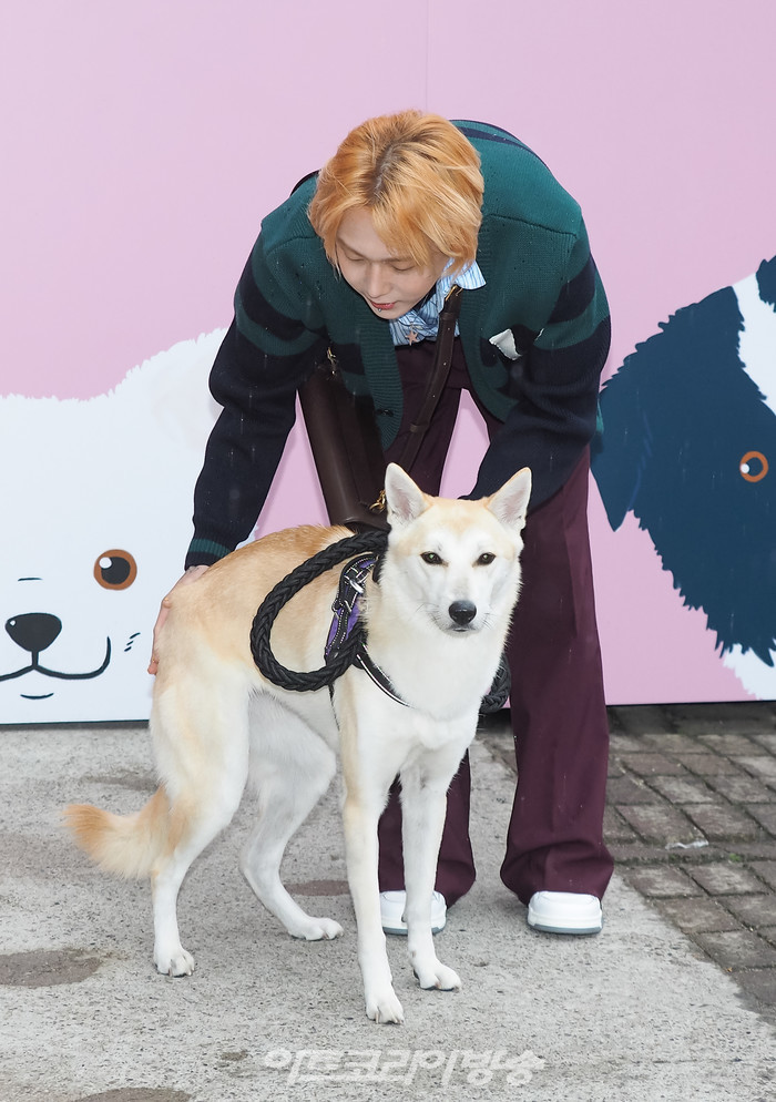 '발렌티노 가라바니 락스터드 펫' 팝업 행사(이던 & 반려견 햇님) 2022.06.10 사진  ⓒ아트코리아방송 이용선 기자