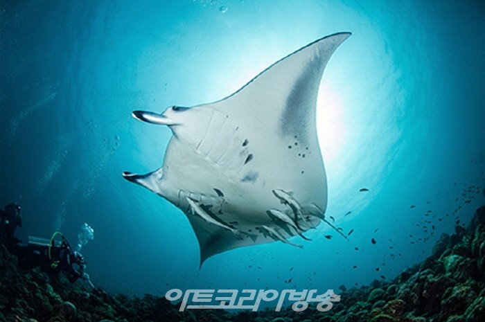 장재연 사진전 '800번의 귀향'