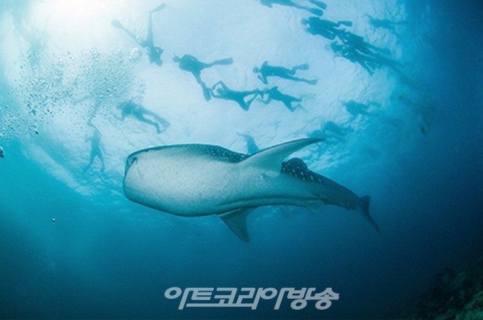 장재연 사진전 '800번의 귀향'