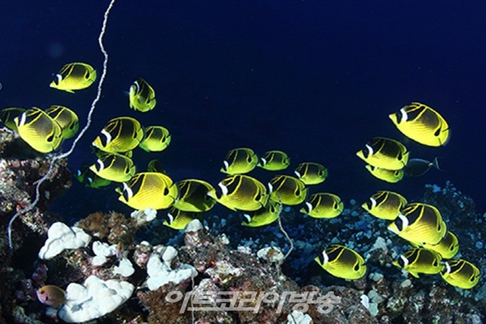 장재연 사진전 '800번의 귀향'