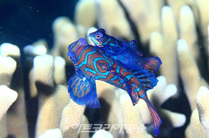 장재연 사진전 '800번의 귀향'