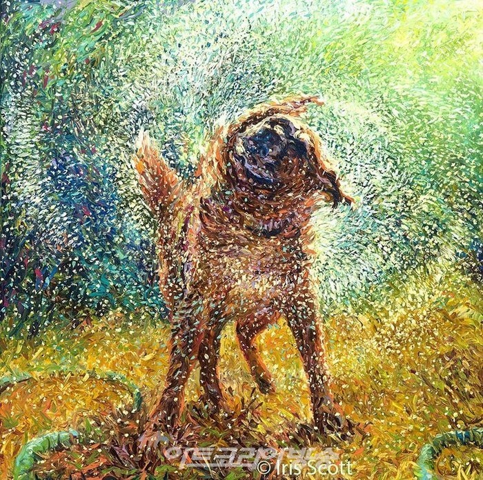 손가락 터치 그림 / Iris Scott